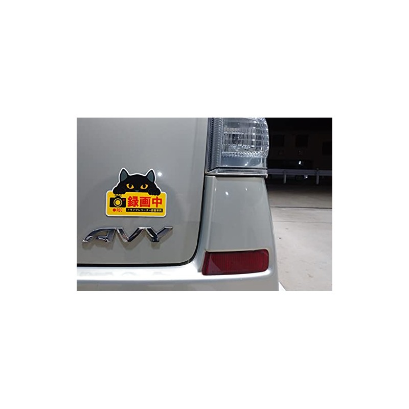 Cute Cat Magnetic Sign Dash Cam Recording Black Cat