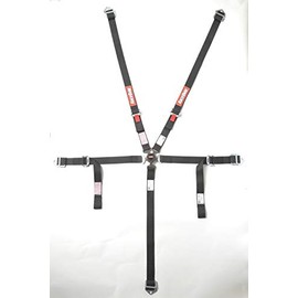RaceQuip Racing Harness Set for Quarter Midget and Junior Dragster Camlock 5 Point SFI 16.2 Black 739009