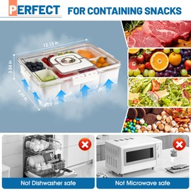 Snackle Box Container with Ice Pack Built In, 8 Compartment serving trays, portable travel divided snack Containers with lid and Handle for Fruit, Veggie, Snacks, Keep Food Cold