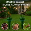 Mole Repellent with Swaying Lights Solar Powered 2 Pack -