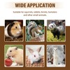 Swirge 3Pcs Rat Harness and Leash, Small Animal Training Walking