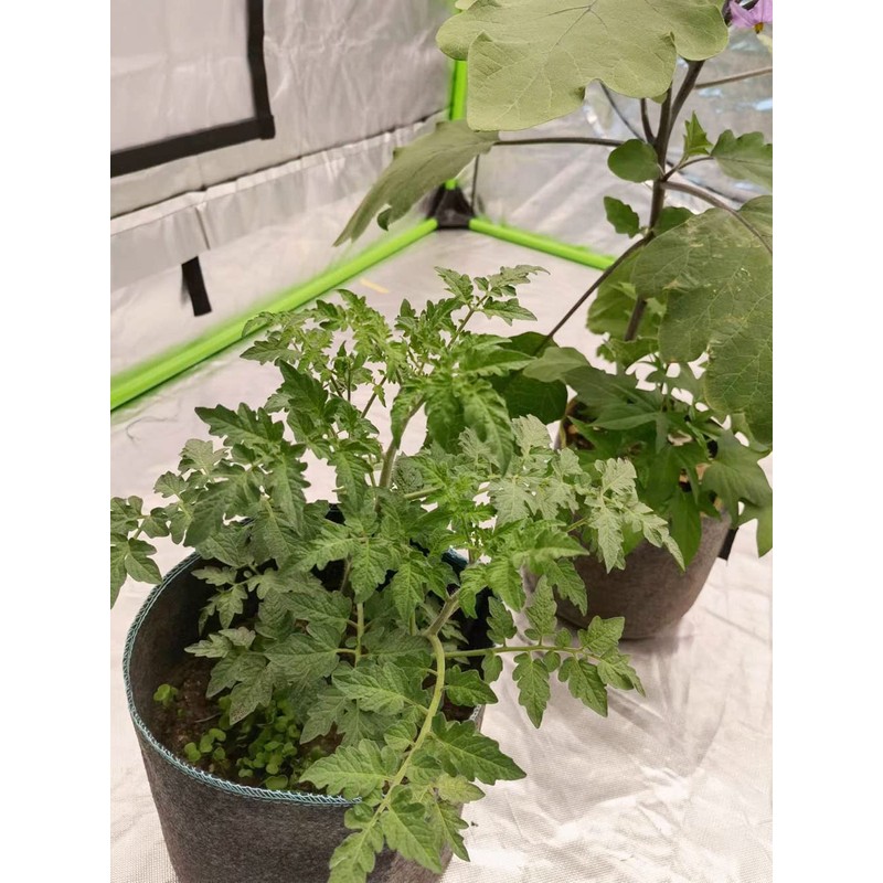 HORTIPOTS Fabric Pots 3 Gallon Non So Floppy Air Pruning