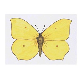 'Brimstone Butterfly' Temporary Tattoo - Water Resistant, Skin-Safe, Non-Toxic Transfer (TO00028730)