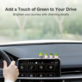 Mini Plants for Car Dashboard Decor, 4-Pack
