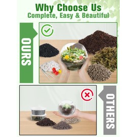Terrarium Kit Adults - Includes Pumice, Moss, Soil, Pebbles, Charcoal, 2 Tools, Mushroom Ornaments for Succulent Cactus, Terrarium Accessories Decor Gifts for Starter Women