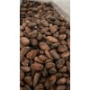 Semilla Grano De Cacao Criollo Premium Crudo 1kg Chiapas