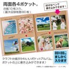SEKISEI アルバム ポケット ハーパーハウス ましかくアルバム フレーム 80枚収容 51~100枚 レッド XP-8910-20