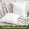 XhomeX 18"x18" Pillow Inserts (Set of 2) - Throw Pillow