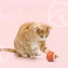 Pet Smart Automatic inteligente recargable Ball Launcher interactiva for Cats