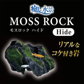 Healing Water Landscape Moss Rock Hide