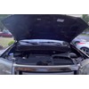 TSUBASA Lift Supports for Honda Pilot 2009-2015 Front Bonnet Hood