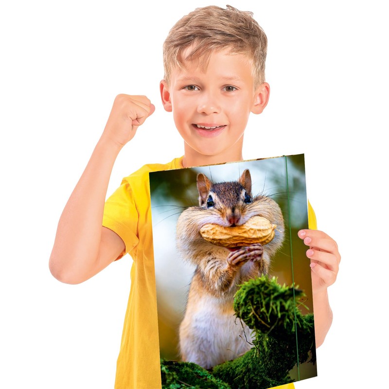 RNK Chipmunk 45375 Drawing Folder 310 x 440 mm Document