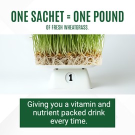 Organic Wheatgrass Powder – 100% Whole Plant with Leaves & Roots | Cold-Processed for Nutrient Retention, 100+ Vitamins, Amino Acids & Enzymes | Non-GMO & Soil-Free | 66 Travel-Ready Sachets