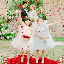 1500+ Real Dried Red Hydrangea Flower Petals - 1.06 oz Natural Preserved Petals for Wedding, Party Confetti, Flower Girl Baskets, Proposal Decor