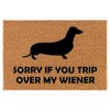 Welcome Doormat Coco Coir Door Mat Gift Sorry If You
