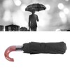 Folding Umbrella 10 Bone UV Protection Auto Open Auto Close
