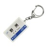 JR nishinihon 琵琶湖 Lines "野洲" Key Holder Train Goods
