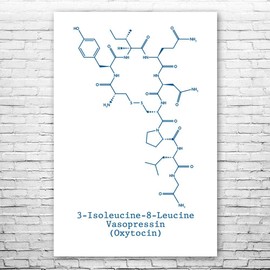 Oxytocin Molecule Poster Print, Love Hormone, Oxytocin Art, Biologist Gift, Professor Gift, Neurochemistry Art Blue & White (12 inch x 16 inch)