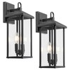 Darkaway Outdoor Wall Lights for House,2pcs Exterior Lighting Fixtures Wall
