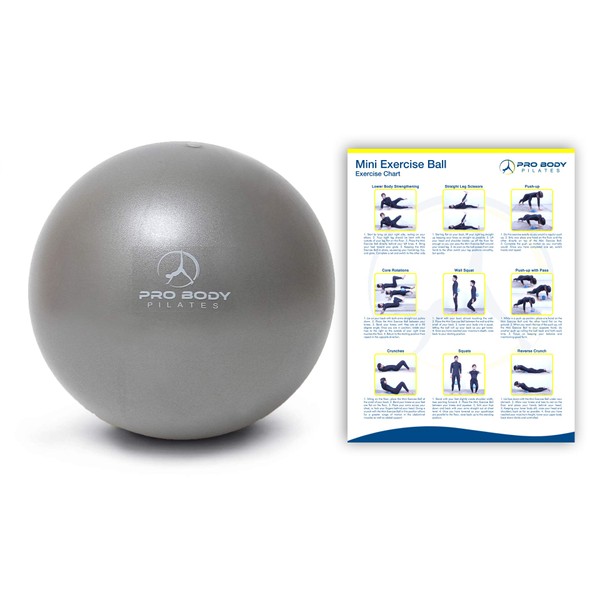 ProBody Pilates Ball Small Exercise Ball, 9 Inch Bender Ball, Mini Soft Yoga Ball, Workout Ball for Stability, Barre, Fitness, Ab, Core, Physio and Physical Therapy Ball at Home Gym & Office (Silver)