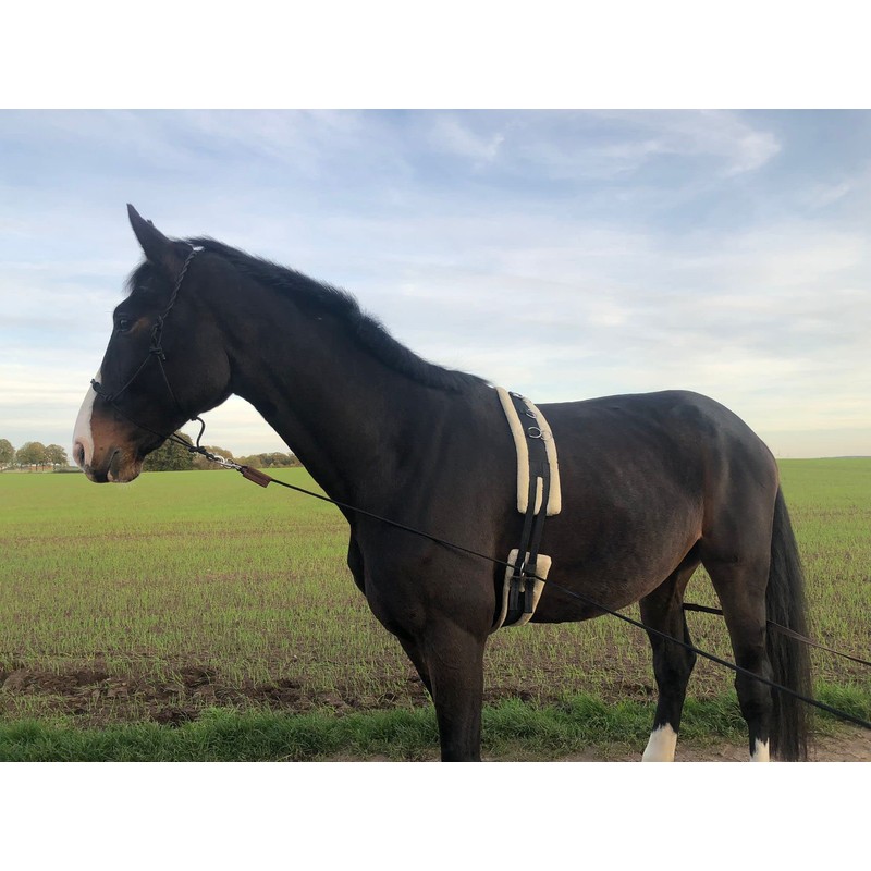 Double Lunge Horse Double Lunge Ideal for Floor Work, Horses