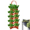 Strawberry Hanging Planter Upside Down,Tomato 4/8 Planting Holes Strawberry Grow