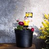 Borussia Dortmund BVB Garden Gnome Flower Pot One Size