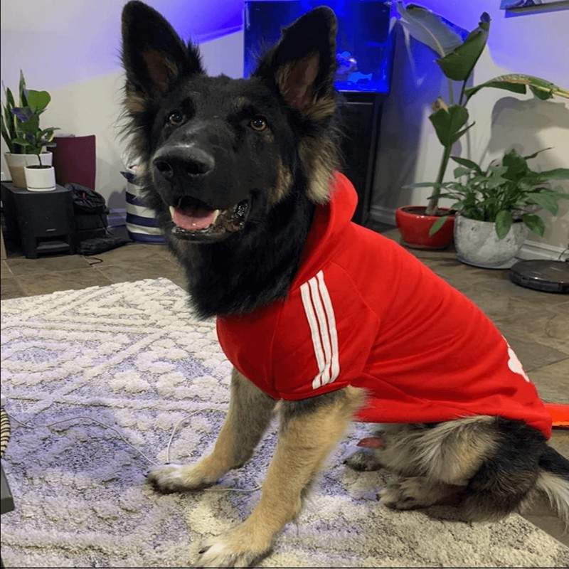 Weowin Pet Outfit - Cute Dog Sweater Sweatshirt Hoodies Tracksuit