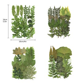 84 Pieces Dried Pressed Leaves Plant Herbarium Leaves Petals Mixed Real Natural Dry Leaves for Resin Crafts DIY Nail Stickers Embellishments Decorations