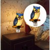 HUIMIEJU Colored Glass Owl Night Light, Children's Room Animal Night