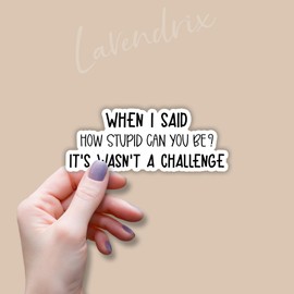 (3pcs) When I Said How Stupid Can You Be It's Wasn't A Challenge Sticker Funny Sayings Quotes Inspirational Vinyl Decal Stickers for Tumbler Laptop Kindle Water Bottles Tablet Books Phone- Size 3x1.2