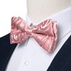 DiBanGu Silk Pink Mens Bow Tie Paisley Pretied Bow Tie