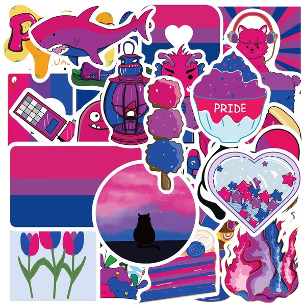 MEPLUM 50 PCS Bisexual Pride Stickers Bulk, Bi Bisexual Stuff