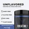 vedge Nutrition Creatine + | Vegan Plant-Based Creatine Monohydrate Powder