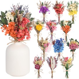 12 Pack Dried Flower Bouquet Various Series Natural Dried Wildflowers Spring Flower Summer Flowers with Stems Mini Multi-Colored Dry Flower for Vase, Resin Crafts, Home and Office Decor,Boho Wedding