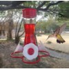 Style Selections- Glass Hummingbird Feeder, 12oz, 4 Stations w/Bee Guard