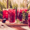 Luzianne Unsweetened Hibiscus Iced Tea Bags, Family Size, 22ct Box