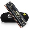 East top Harmonica Blues Harmonica 10 Hole Harmonica Eb Tone
