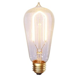 Vickerman Warm White E26 ST58 LED Bulb