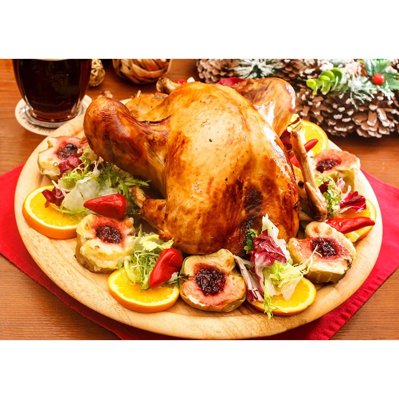 HONSHEN Turkey Lacers for Trussing Turkey 6 inches Stainless SteelSet