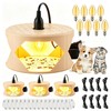 2026 Flea Traps for Inside Your Home 4Pack Flea Light