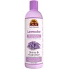Okay Shampoo, Lavender, 12 Fl Oz