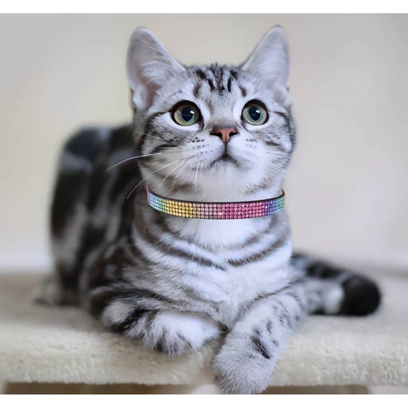 THAIN Bling cat kitten collar Rainbow Rhinestone breakaway diamond with
