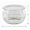 Prodyne Dips on Ice Acrylic Dip Bowl, 16 oz., clear
