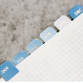 10 Sheets Monthly Adhesive Index Tabs Colorful Monthly Separator Tabs for Office Study Planners Organizations (Elegant)