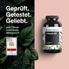 Vitamin B5 - 240 Capsules - High Dose 500 mg