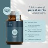 Toronjil Tiba Salud 60 Cápsulas Veganas De .550gr C/u