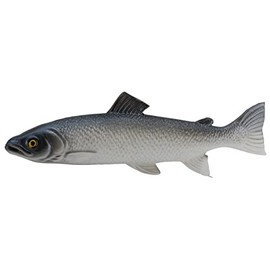 Klocke Dekorationsbedarf Lifelike Food Dummy - Artificial Sea Item - Food Dummy/Plastic Food - Decoration (Fish - 1 Piece - 25 cm)