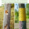 Kittmip 4 Rolls 260ft Lantern Fly Tree Tape Outdoor Adhesive