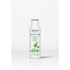 Lavera Fresh & Balance Care Shampoo, 250 ml (1)